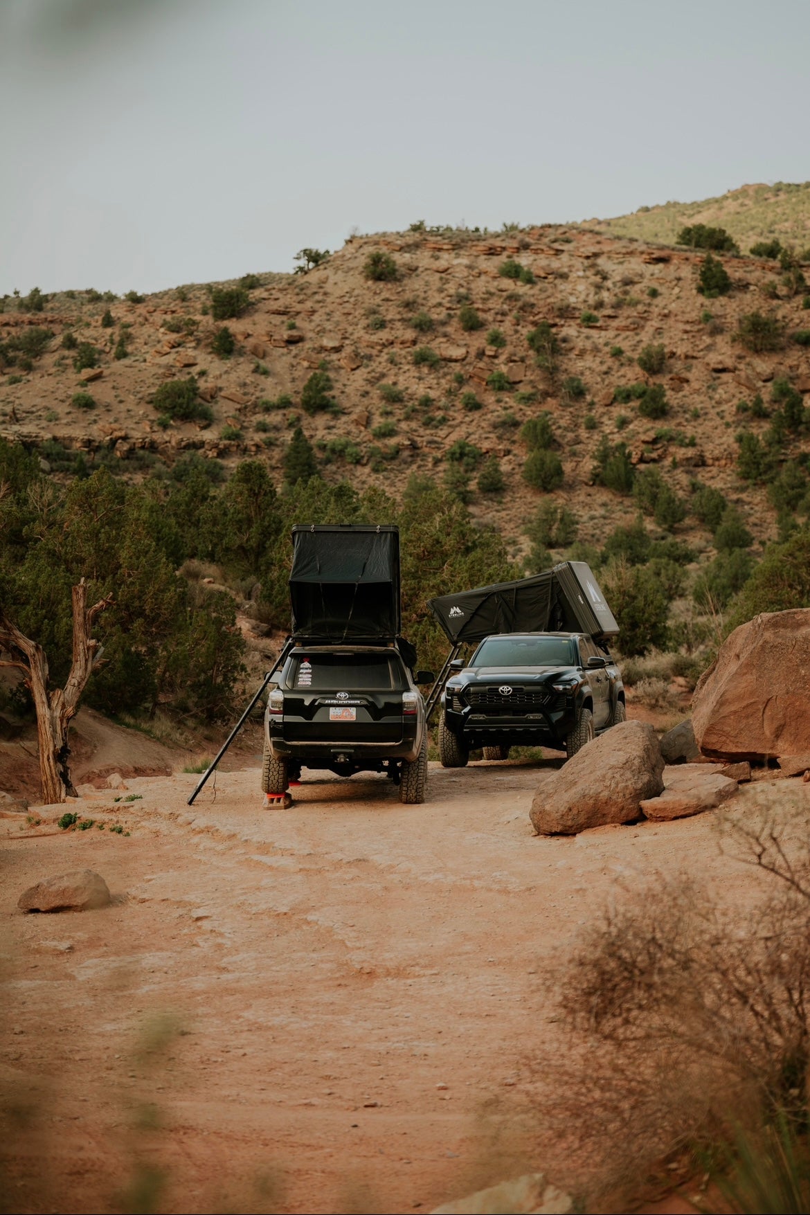 Uinta Box Shell Rooftop Tent